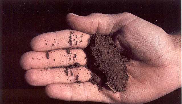 Nắm chặt một ít đất trong tay bạn sẽ biết được đất của bạn là loại đất nào