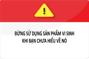 Khóa học Nghệ Thuật Ứng Dụng Vi Sinh