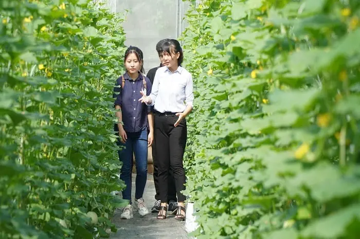 Các bạn sinh viên rất hào hứng được trải nghiệm thực tế tại vườn nông sản công nghệ cao của chị Hiền