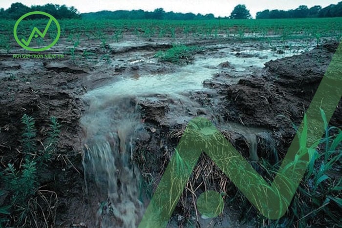 Sau mỗi trận mưa lớn, đất mặt có nguy cơ bị xói mòn rất lớn