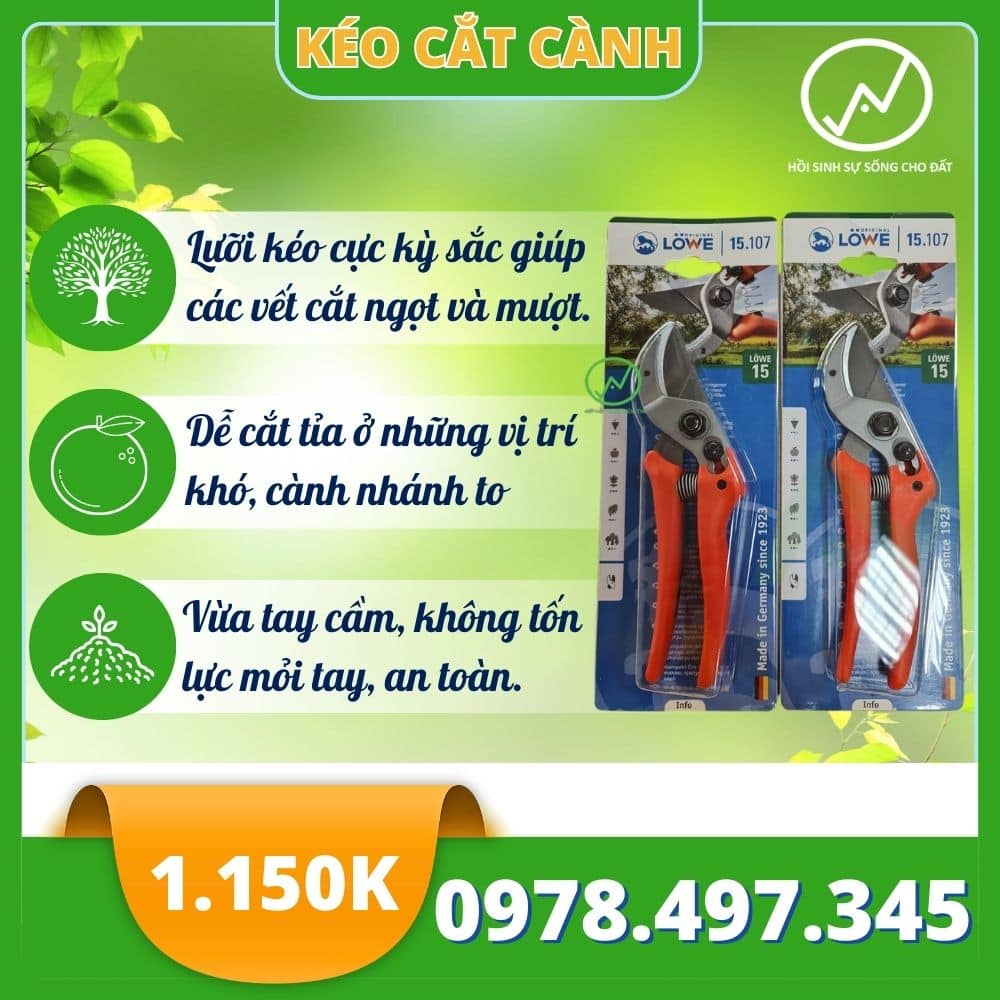 Kéo cắt cành nhập khẩu Đức Original LOWE 15.107