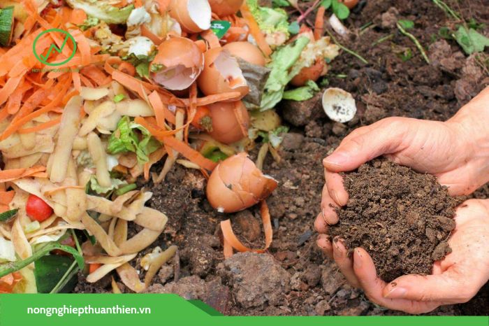 Cải tạo đất vườn trồng cây ăn trái bằng cách bổ sung hữu cơ, tăng hoạt động của vi sinh vật đất

