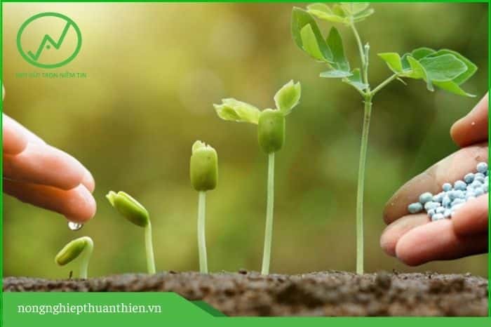 vi sinh vat phan giai lan 3