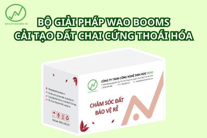 WAO BOOMs cải tạo đất