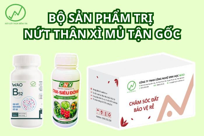 sản phẩm thuốc trị nứt thân xì mủ sầu riêng