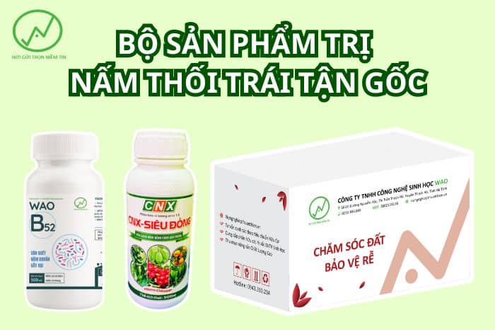 sản phẩm thuốc trị sầu riêng bị thối trái