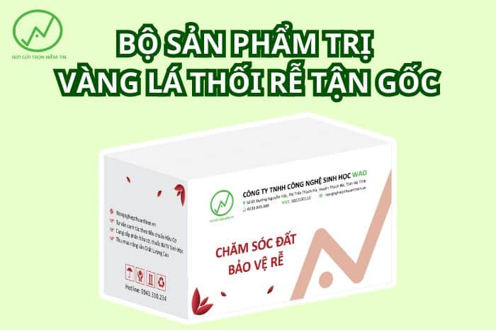 WAO BOOMs chữa vàng lá thối rễ sầu riêng