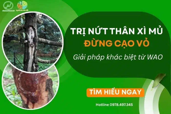 nut than xi mu 0