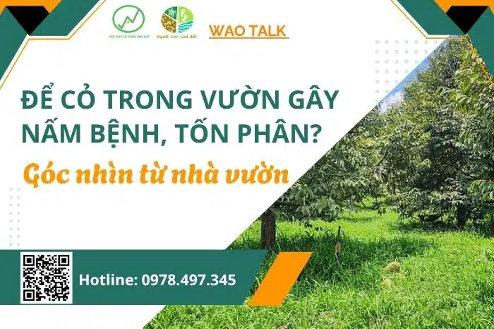 quan ly co web 1