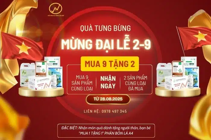 size web MUA 9 TANG 2