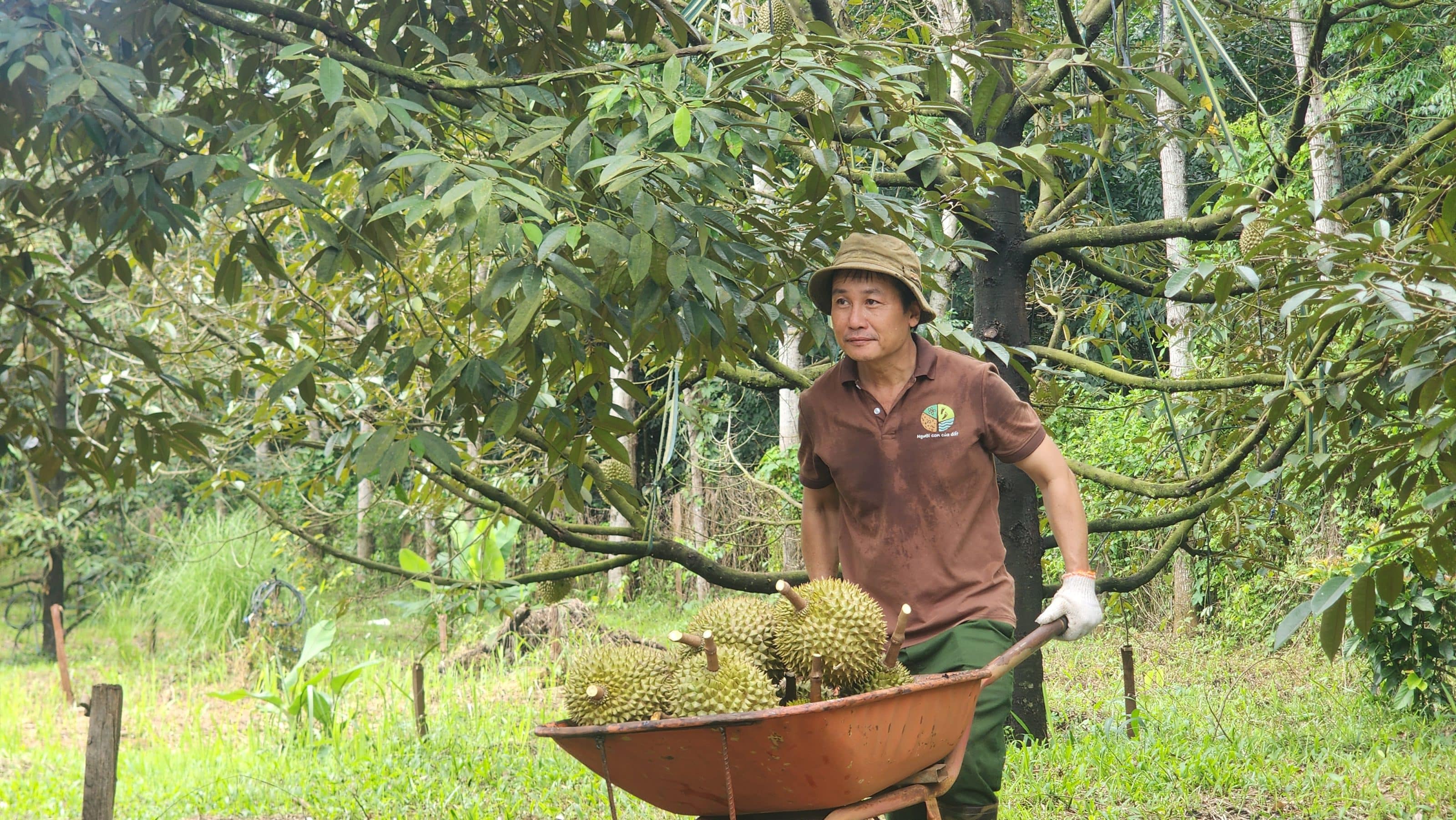 Anh Thịnh chủ vườn WAO Quỳnh Nhi