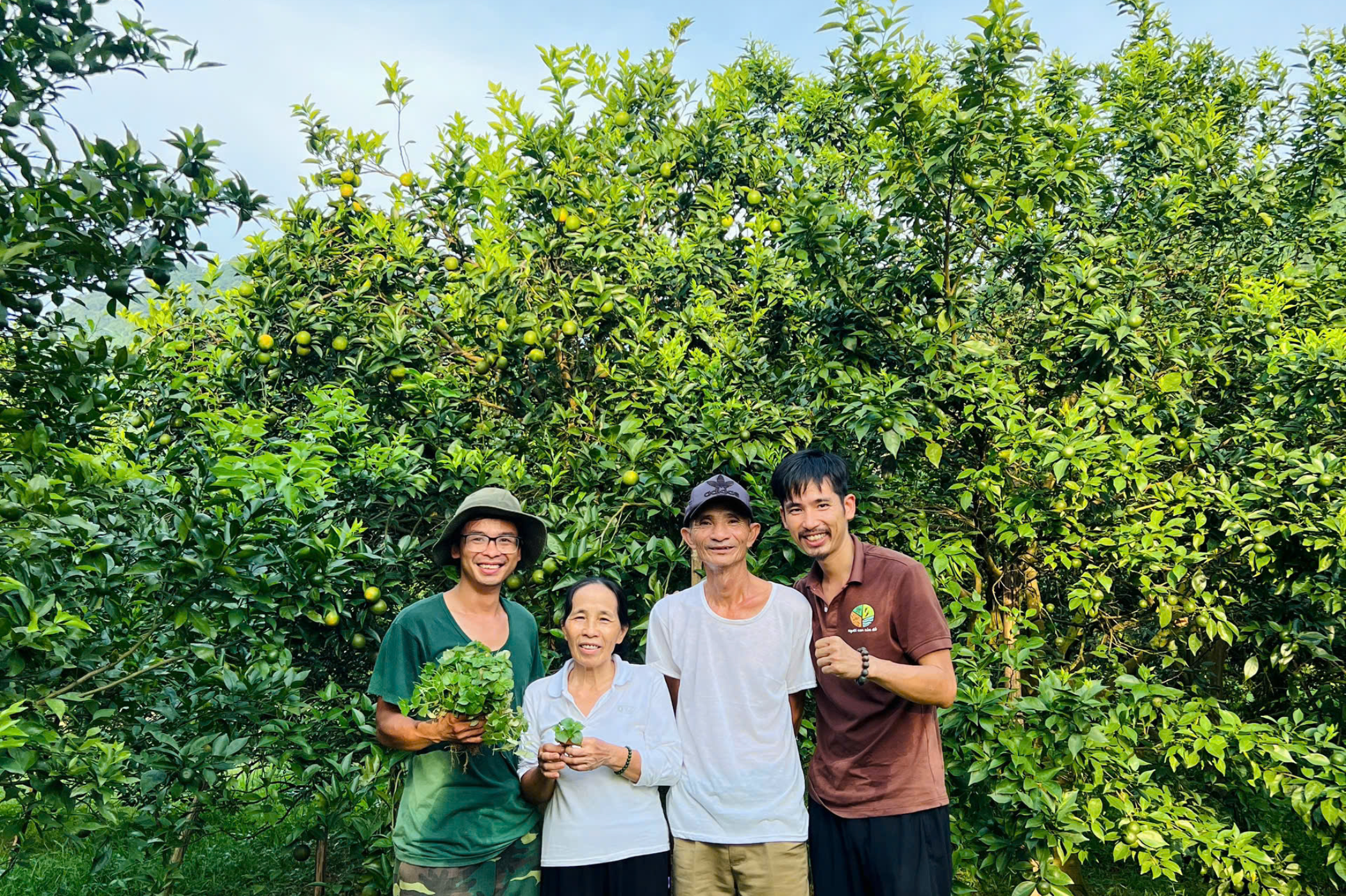 Vườn cam WAO Đàm Hiền